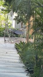 Van Holland (D10), Condominium #434483901